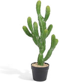 Artificial Cactus 26 INCH Tall Fake Cactus Plants Faux Cacti Saguaro with Planter for Indoor Outdoor Home Office Shop Garden Decoration by Unknown
