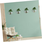 4pcs Glass Wall Planter Globe Terrarium Holder for Flowers - Image 4