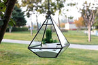 WGV Hanging Geometric Planter Terrarium Bulk Width 6" Height 8" Clear Glass Black Frame DIY Succulent air Plant Miniature Fairy Garden Windowsill Decor Raised Pyramid 6 Pieces - Image 3
