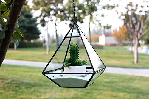 WGV Hanging Geometric Planter Terrarium Bulk Width 6" Height 8" Clear Glass Black Frame DIY Succulent air Plant Miniature Fairy Garden Windowsill Decor Raised Pyramid 6 Pieces - Image 3