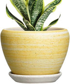 Ceramic Planter, 6 Inch Plant Pots, Textured Yellow by Thirtypot