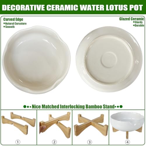MUZHI Ceramic Lotus Bowl Planter with Bamboo Stand 8” for Aquatic Plant Seeds, Decorative Water Lily Flower Pot for Lotus Seed Planting in Water No Drainage Hole - Image 3