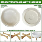 MUZHI Ceramic Lotus Bowl Planter with Bamboo Stand 8” for Aquatic Plant Seeds, Decorative Water Lily Flower Pot for Lotus Seed Planting in Water No Drainage Hole - Image 3