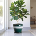 10Inch Ceramic Plant Pot, Ceramic Flower Pots Indoor, Green-White - Image 4