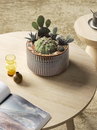 LE TAUCI Succulent Pots, 6.5+8 Inch Ceramic Pots for Plants Indoor, Shallow Round Succulent Planters with Drainage Hole, Set of 2, Reactive Glaze Black - Image 3