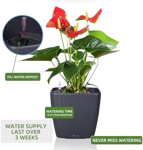 Dexceder 15x14 Self Watering Planter with Wheels (Slate Gray Matte) - Image 5