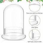 2 Pcs 4.7 x 6.3 Inch Clear Glass Dome Terrarium with Air Hole & Base - Image 3