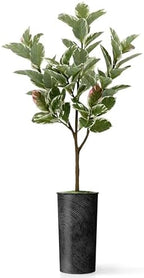 Artificial Tree in Geometric Spiral Pattern Planter, Fake Rubber Silk Tree for Indoor and Outdoor Home Decoration - 70" Overall Tall (Plant Pot Plus Tree) - Image 2
