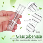 4pcs Plant Propagation Tubes Glass Test Tube Vase Replacement Clear Hydroponic Flower Vase for Home Office Wall Decor Desktop Decorations (Without Stand) (11.00X3.50X2.80CM) - Image 6
