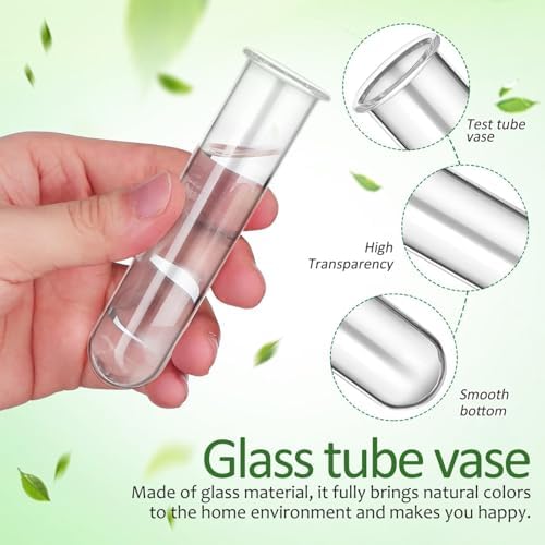 4pcs Plant Propagation Tubes Glass Test Tube Vase Replacement Clear Hydroponic Flower Vase for Home Office Wall Decor Desktop Decorations (Without Stand) (11.00X3.50X2.80CM) - Image 6