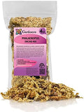 Gardenera Premium PHALAENOPSIS Imperial Orchid Potting Mix - Hand Mixed in Small Batches | Great for Phalaenopsis of All Kinds - 4 Quart Bag by Gardenera
