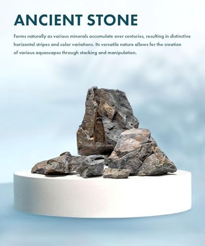 SubstrateSource Natural Aquarium Stones - Angular Dark Brown & Rust-Toned Decorative Rocks w/Layered Texture - Freshwater Aquascaping, Betta Fish Tank, Reptile Enclosure, Hermit Crab - Ancient, 5 LB - Image 2