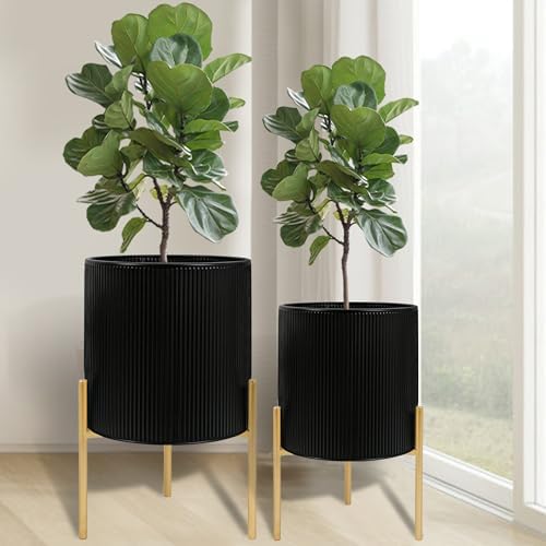 ARNIS Modern Plant Pots, Set of 2 Round Large Planters with Stand, Large Size Metal Pots with Drainage Holes for Living Room, Office, Garden or Balcony, 10.5 &12.25 Inch, Black & Gold by ARNIS