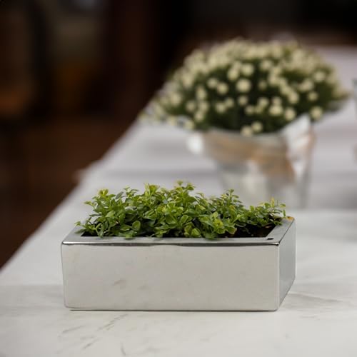 WGVI Long Rectangle Ceramic Planter Vase in Silver 12" x 4" x 4"H, Block Rectangular Terrarium Box Pot, Flower Arrangement, Table top Centerpiece, Home Decor Organization Storage Container, 1 Pc. - Image 6