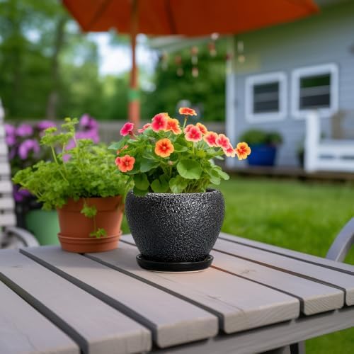 Ceramic Planter 6 Inch, Ceramic Plant Pots Indoor, Black - Image 4
