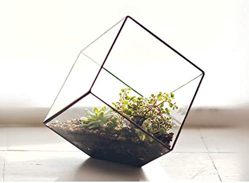 WGV Geometric Planter Terrarium, Width 11.5" Height 12" Clear Glass Black Frame DIY Succulent air Plant Miniature Fairy Garden Windowsill Tabletop Decor, Tilted Cube 1 Piece - Image 6