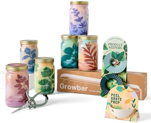 Modern Sprout Mason Jar Herb Garden Kit Indoor by ModernSprout