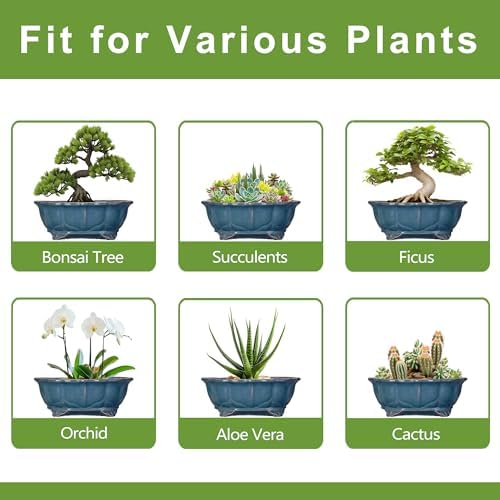 Bonsai Pots - 13.2 Inch Oval Ceramic Pots for Plants, Large Succulent Planter with Drainage Hole, Decorative Planters for Indoor Outdoor, Garden House Decor, Housewarming Gifts, Retro Blue - Image 7