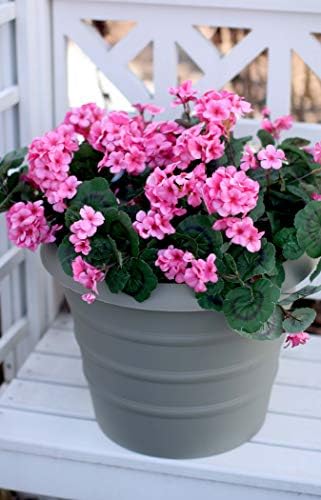 The HC Companies 12 Inch Marina Planter Lightweight Indoor Outdoor Plastic Plant Pot for Herbs and Flowers, Seafoam - Image 2
