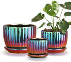 Ceramic Planters,Plant Pots with Drainage Holes & Saucers Set of 3(Purple) by TonSin