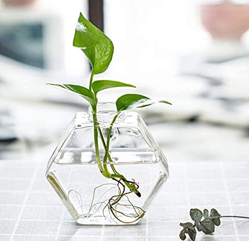 Kingbuy Wall Hanging Planter Glass Propagation Terrarium 3 Hexagon Shape and 4 Egg Shape Flower Vase for Home Office Christmas Decor - Image 4