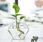 Kingbuy Wall Hanging Planter Glass Propagation Terrarium 3 Hexagon Shape and 4 Egg Shape Flower Vase for Home Office Christmas Decor - Image 4
