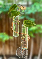 2 Willow Window Plant Propagator- Window Propagation Station | Removable Glass Test Tubes for Indoor Clippings, Cut Flowers, Herbs, Succulents | Home Decor | (2 Willow) - Image 2