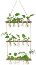 XXXFLOWER Wall Hanging Propagation Station 5 Bulb Vase 3 Tiers Brown by XXXFLOWER