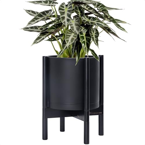 D'vine Dev Plastic Pot with Ebony Wood Stand, Black, 10 in, 55-C-N-2 by DvineDevPlanterPotsandStand