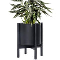 D'vine Dev Plastic Pot with Ebony Wood Stand, Black, 10 in, 55-C-N-2 by DvineDevPlanterPotsandStand
