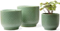 4 + 5 + 6 Inch Ceramic Pots for Indoor Plants, Succulents Plant Pots, Orchid Flower Pot with Drainage Hole, Modern Clay Stoneware Planters, Set of 3 (Green, 4+5+6 Inch) by Homephyte