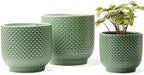 4 + 5 + 6 Inch Ceramic Pots for Indoor Plants, Succulents Plant Pots, Orchid Flower Pot with Drainage Hole, Modern Clay Stoneware Planters, Set of 3 (Green, 4+5+6 Inch) by Homephyte