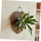 Luxshiny Staghorn Fern Mounting Board with Monstera Support, 28x33cm Wooden Wall Planter for Air Plants and Orchids, Vertical Decorative Plant Holder for Indoor Garden and Home Decor - Image 7