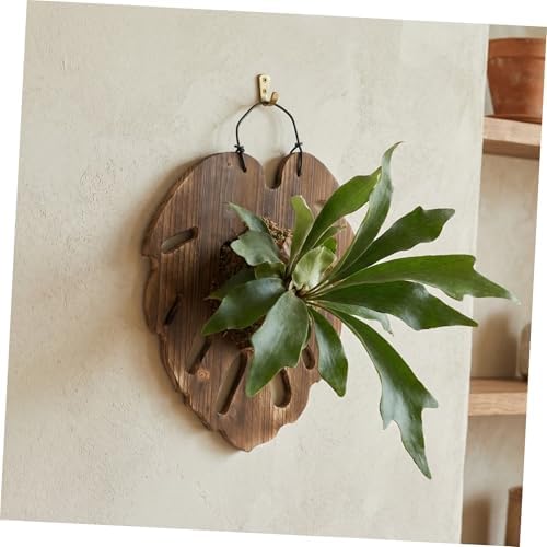Luxshiny Staghorn Fern Mounting Board with Monstera Support, 28x33cm Wooden Wall Planter for Air Plants and Orchids, Vertical Decorative Plant Holder for Indoor Garden and Home Decor - Image 7