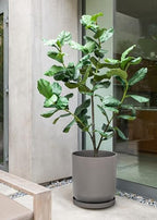 Veradek Mason Series Lima Planter Tray - Image 4
