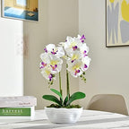 Large Artificial Orchid Arrangement in Oval Ribbed Ceramic Pot, White - Image 4