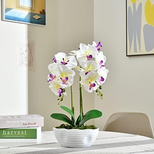 Large Artificial Orchid Arrangement in Oval Ribbed Ceramic Pot, White - Image 4