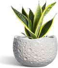 Ceramic Pots for Plants, 8 Inch Planters for Indoor Plants, Grey by Thirtypot