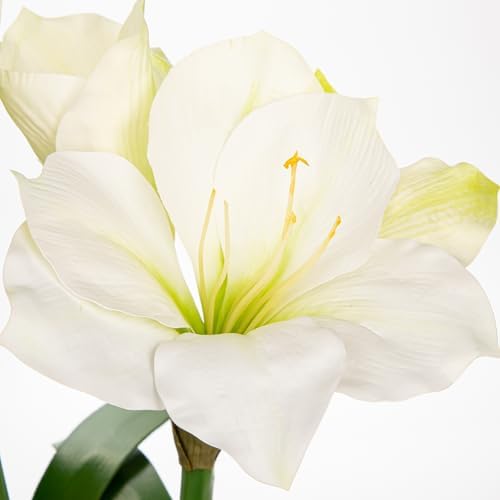 Briful White Amaryllis Fake Flowers 17.3'' Tall Silk Amaryllis Plant in Black Pot Artificial Floral Arrangement with Decorative Bulb for Home Office Bathroom Kitchen Table Holiday Décor - Image 4