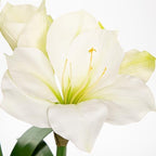 Briful White Amaryllis Fake Flowers 17.3'' Tall Silk Amaryllis Plant in Black Pot Artificial Floral Arrangement with Decorative Bulb for Home Office Bathroom Kitchen Table Holiday Décor - Image 4