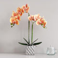 Artificial Orchids Silver Vases Orchids Artificial Flowers Orange Orchid Height 20 inches by Unknown