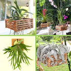 Set of 3 Strong Teak Wood Orchid Baskets for Outdoors with Hangers, 1 is 10 Inches Wide, 1 is 8 Inches, 1 is 6 Inches, for Orchids, Staghorn Ferns, Orchid Gifts - Image 6