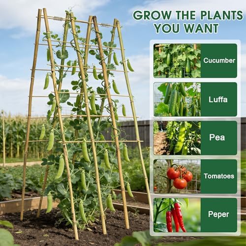 2 Pack 47''x18'' Bamboo Trellis for Climbing Plants Outdoor, Oltara A-Frame Foldable Garden Trellis for Cucumbers, Raised Beds, Tomatoes, Beans, Vegetables & Flowers Support - Image 4