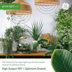 GE Grow Lights for Indoor Plants, BR30 Indoor Floodlight, LED Light Bulbs for Seeds and Greens with Balanced Spectrum, 25,000 Hours Lifespan, 16 PPF, 4 Pack (Packaging May Vary) - Image 3