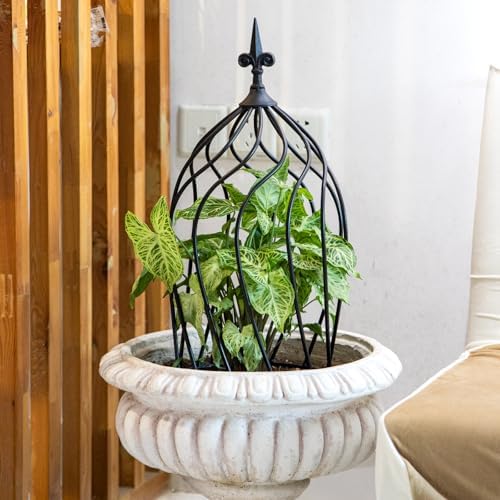 23" Obelisk Trellis for Climbing Plants & Vines Outdoor Decor - Image 5
