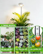 yadoker Plant Grow Light, LED Growing Light Full Spectrum for Indoor Plants,White Magnifying Glass Plant Lights,Height Adjustable, Automatic Timer, 5V Low Safe Voltage,Idea for Large - Image 2
