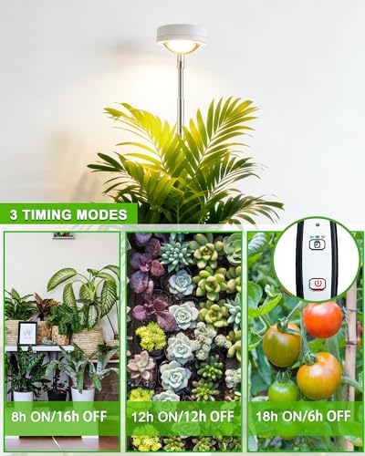 yadoker Plant Grow Light, LED Growing Light Full Spectrum for Indoor Plants,White Magnifying Glass Plant Lights,Height Adjustable, Automatic Timer, 5V Low Safe Voltage,Idea for Large - Image 2