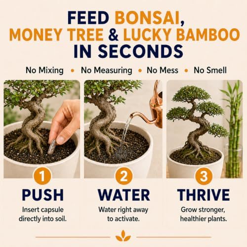 Organic Bonsai, Bamboo & Money Tree Fertilizer, 100 Capsules - Image 2