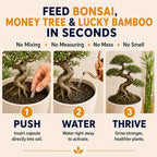Organic Bonsai, Bamboo & Money Tree Fertilizer, 100 Capsules - Image 2