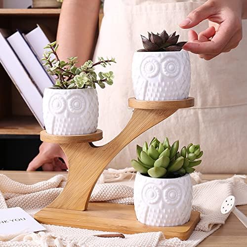 HASMI Plant pots 1 Set Ceramic Owl Garden Pots Pumpkin Flowerpot Nursery Succulent Plant Pot 3 Bonsai Planters with 3-Tier Shelf Flower Pots (Color : 1) - Image 4